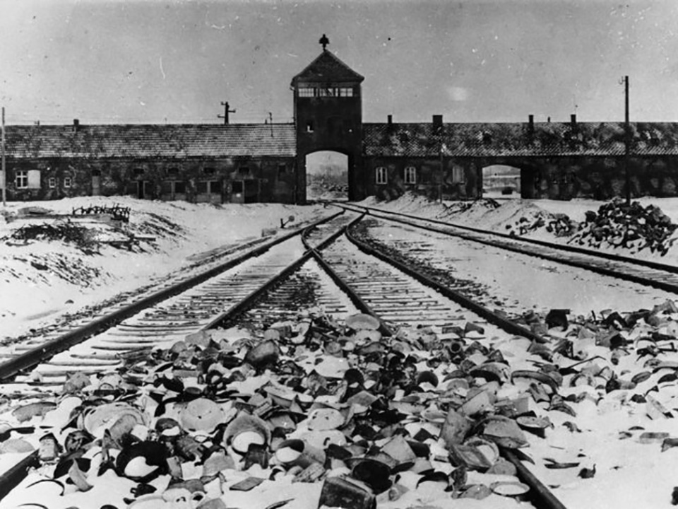 The Imperative to Witness: Memoirs by Survivors of Auschwitz | The